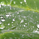 Foto: Sam Cox / Flickr, bajo licenci Creative Commons.